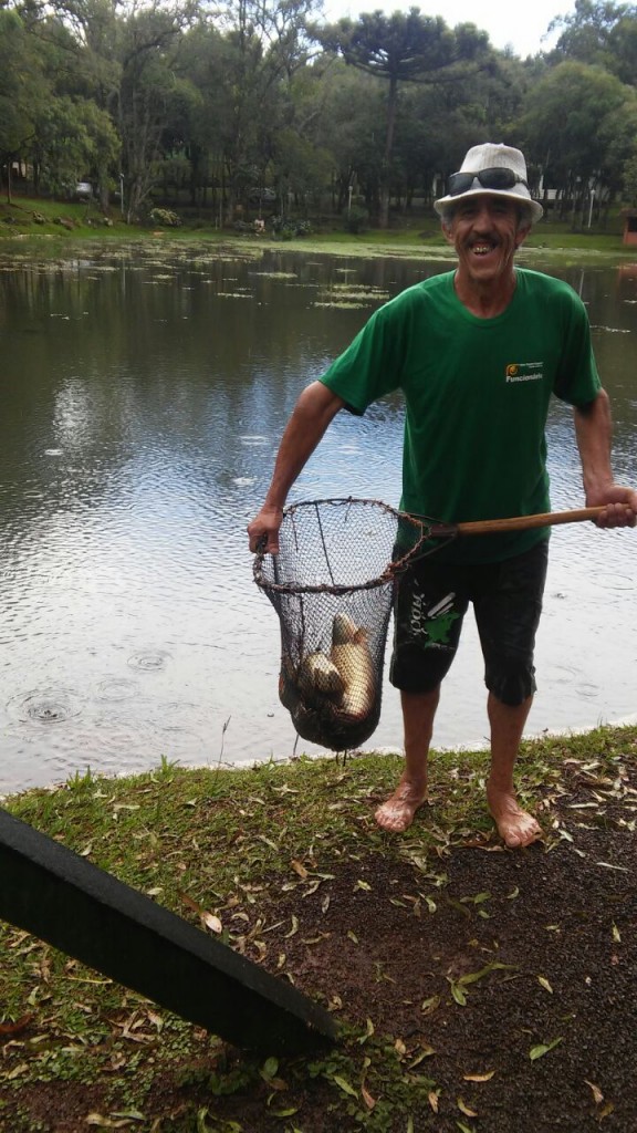 Reposição de peixes no lago do Caixeiral Campestre