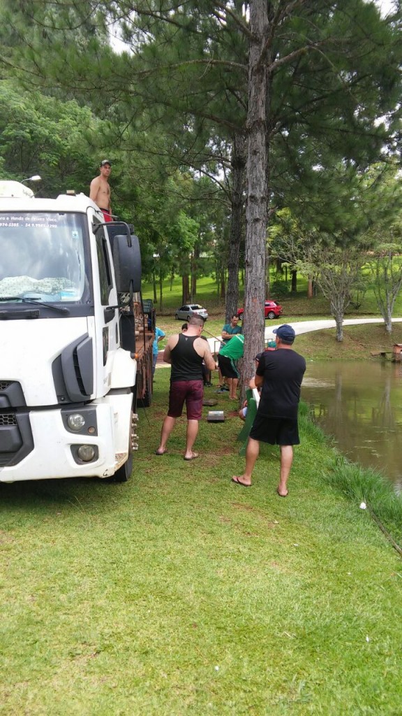 Reposição de peixes no lago do Caixeiral Campestre