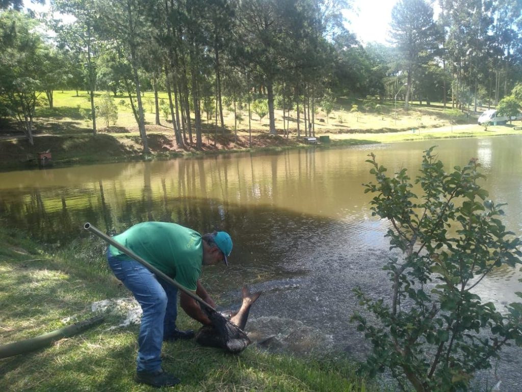 Lago de Pesca interditado